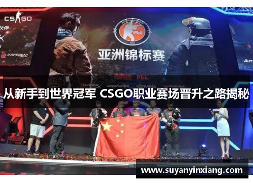 从新手到世界冠军 CSGO职业赛场晋升之路揭秘