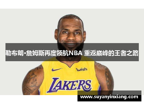 勒布朗·詹姆斯再度领航NBA 重返巅峰的王者之路