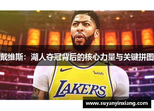 戴维斯：湖人夺冠背后的核心力量与关键拼图