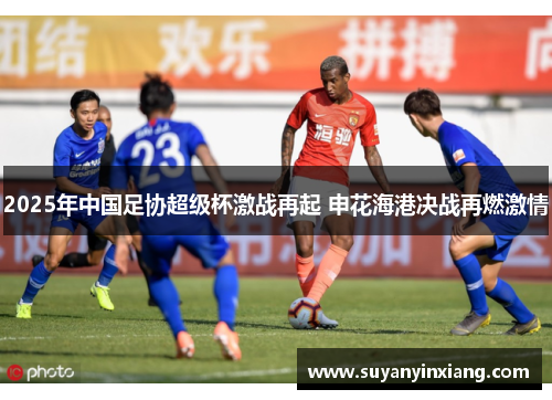 2025年中国足协超级杯激战再起 申花海港决战再燃激情